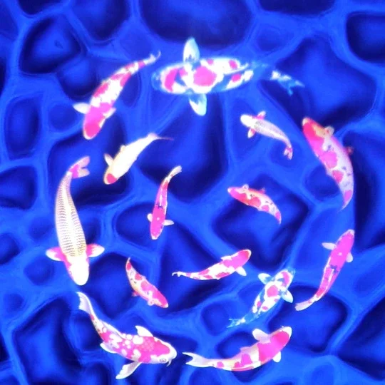 

IP66 Waterproof LED Water Effect Light Outdoor Water Wave Effect Light