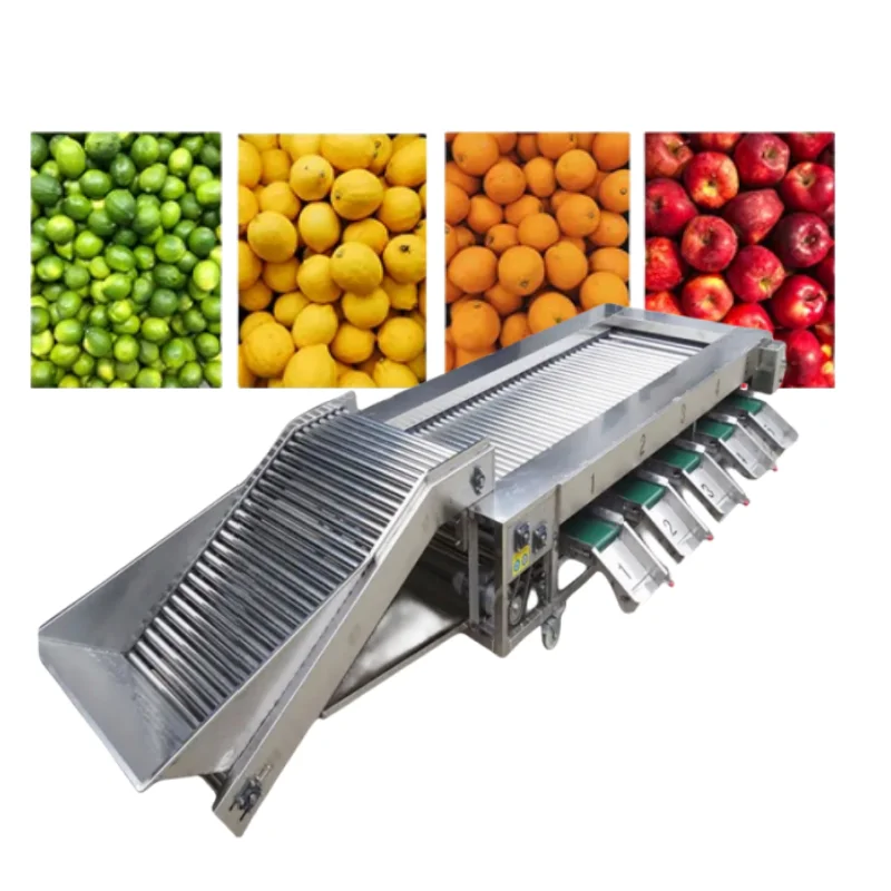 Fruit and Vegetable Sorting and Grading Machine,products Sizer,fruit Sorting and Grading Machine