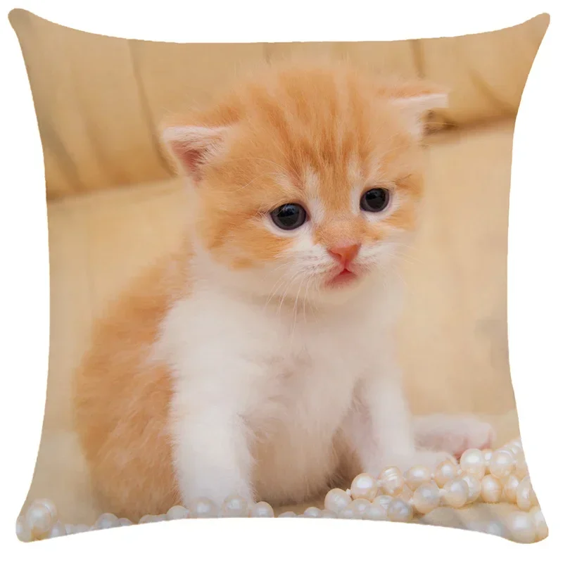 Cute Pet Cat Pillowcase Sleeping Bubble Black  Kids Gift Cushion Cover Sofa Living Room Home Decor Custom