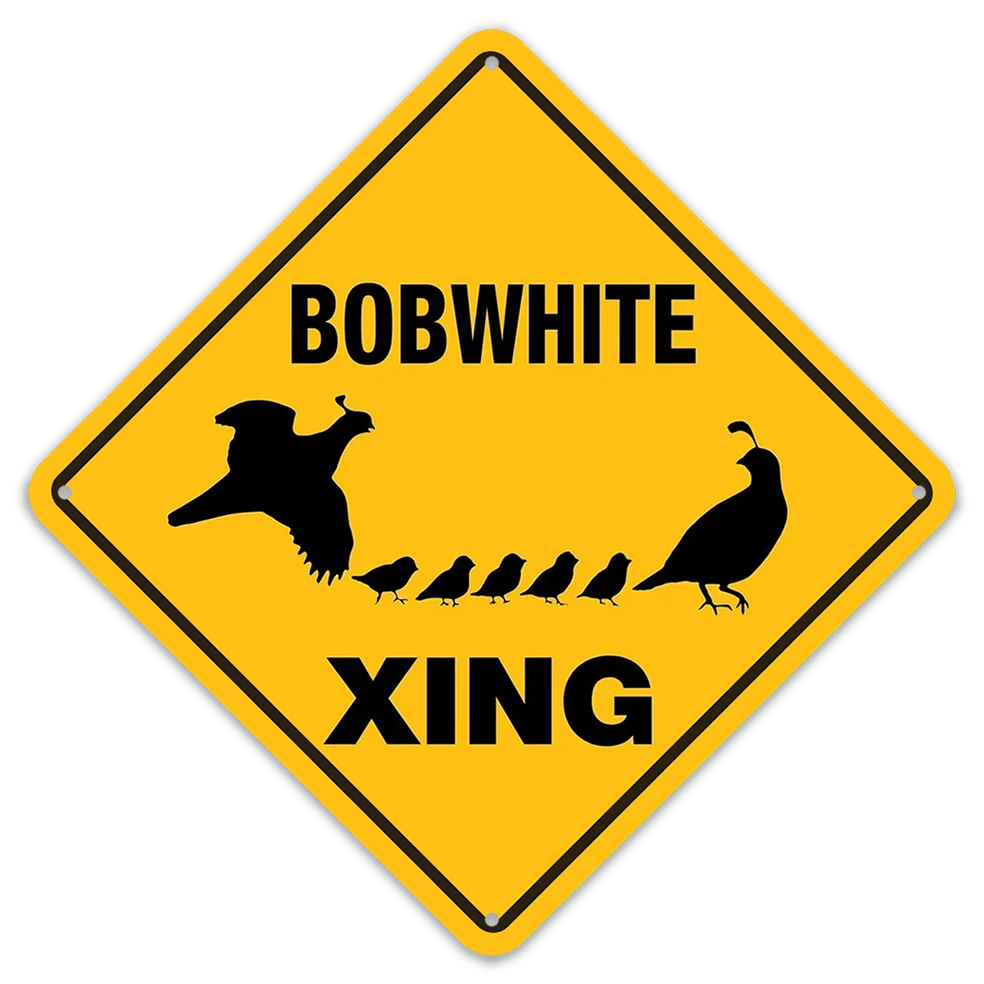 Humorous Metal Sign, Featuring A Ring-necked Pheasant Crossing, Perfect for Indoor or Outdoor Decoration.