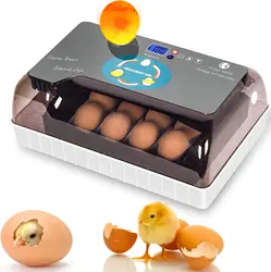 Automatic HHD Best Digital 12 Chick egg Hatchery machine Brooder egg incubator egg incubator Hatcher for goose chicken quail