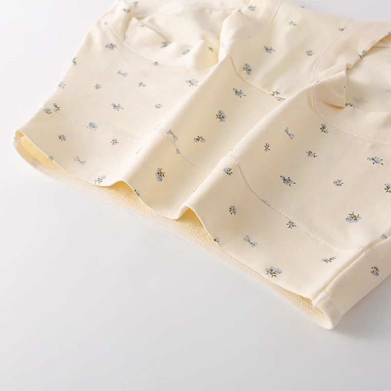 Cuecas calcinha feminina micro roupa interior esportes respirável fantasia calcinha feminina conjunto pacote lingerie sexy senhora cuecas triangulares