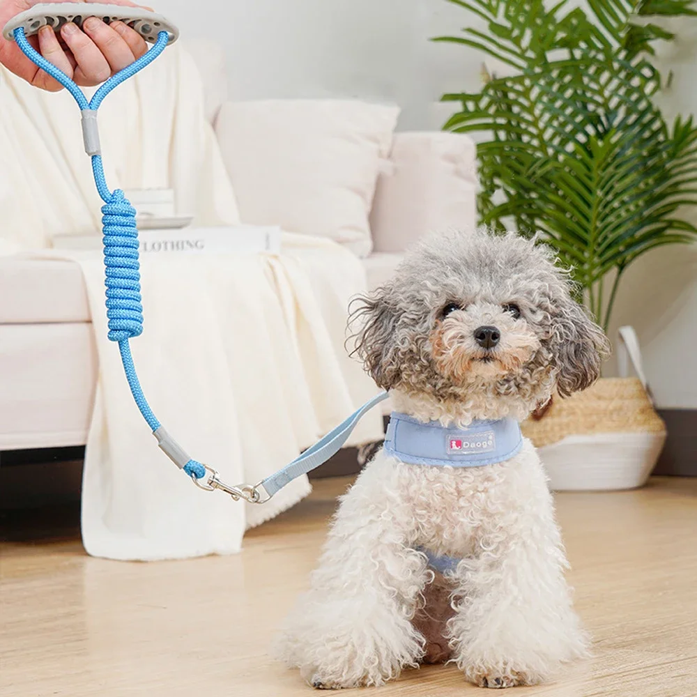1 Set atmungsaktives Mesh-Hundegeschirr ohne Zug + Leine, verstellbare, fluchtsichere Weste, Leine für Haustiere, kleine, mittelgroße Hunde, Spaziergänge im Freien