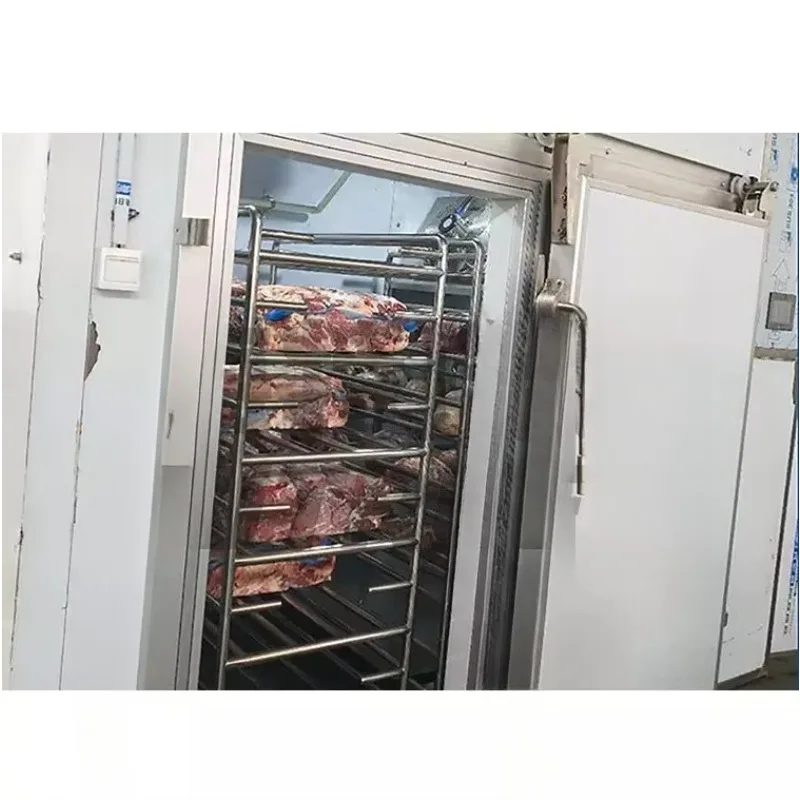 تخصيص اللحوم المجمدة الأسماك ذوبان غرفة الغذاء آلة إزالة الجليد الغذاء الصف لاستخدام دفعة صغيرة