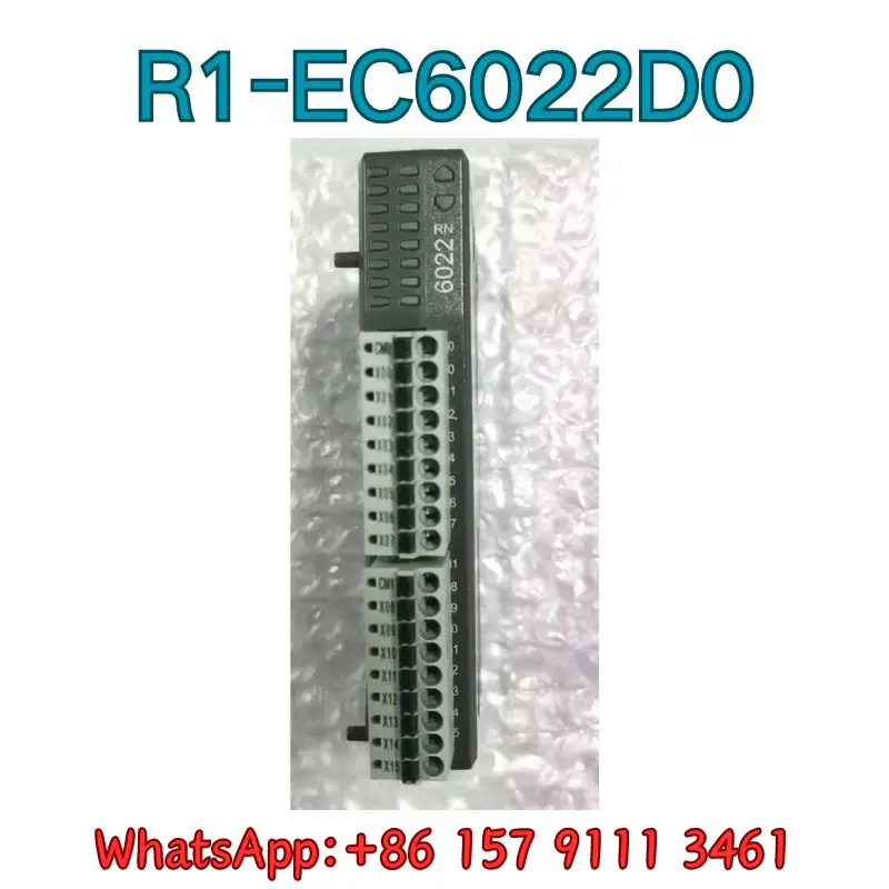 

Brand New Module R1-EC6022D0 Original and Genuine Fast Shipping