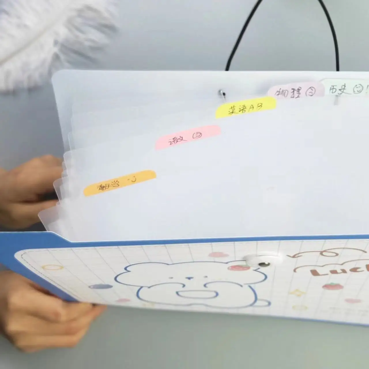 MOHAMM 1pc Transparent Waterproof A4 Folder Student Test Paper Storage Lovely Storage Bag