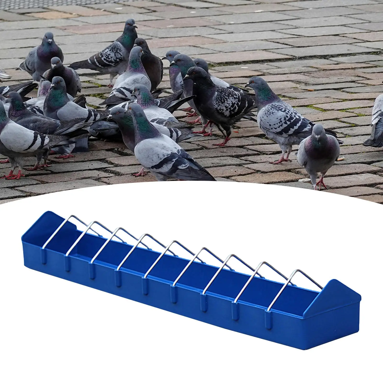 Thumbnail 4 - #9 Latest Birdhouses Offers