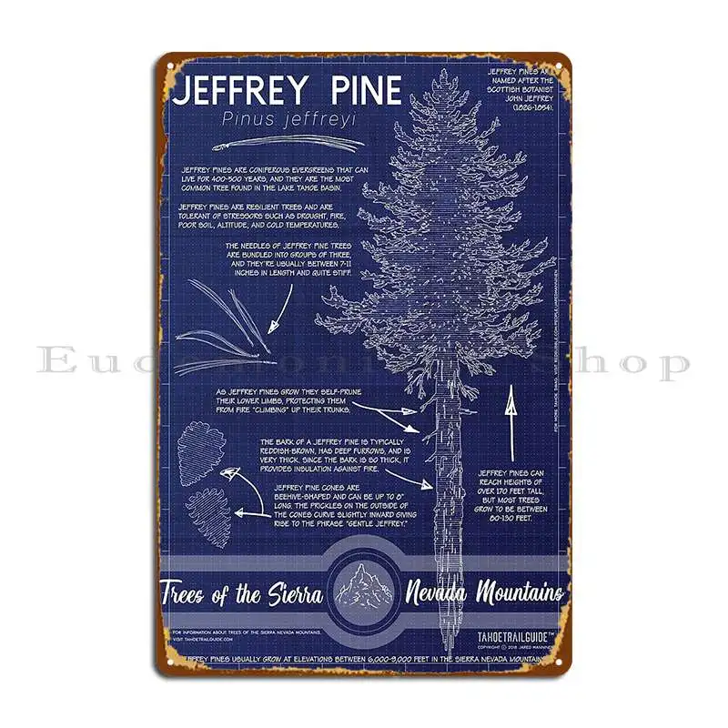 Jeffrey Pine Pinus Jeffreyi Infographic Metal Signs Party Wall Mural Iron Bar Cave Pub Tin Sign Poster