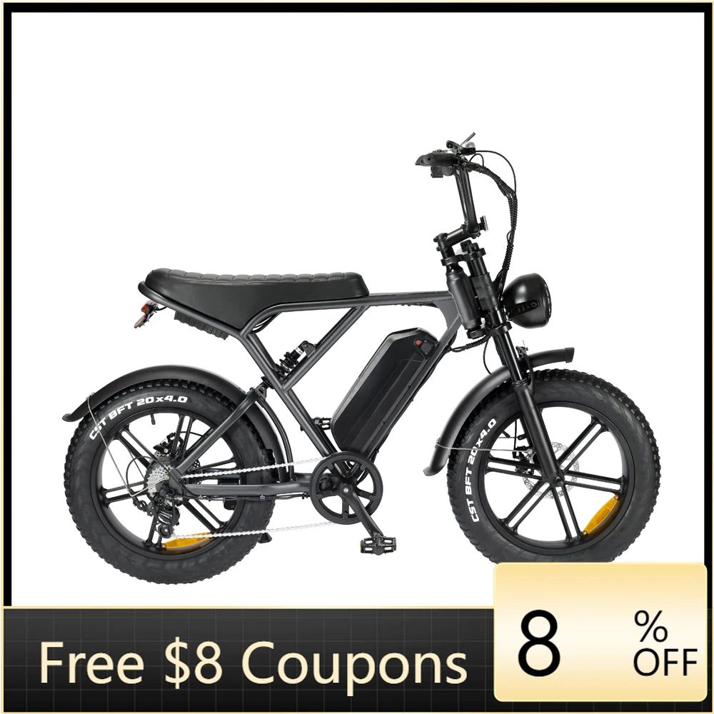 

STLF DZ WJW Advanced Dutch Warehouse Fattire Ebike Electric Fat Tire Bike V8 E Bike 20inches Hybrid Bike 250w 750w Factory Pric
