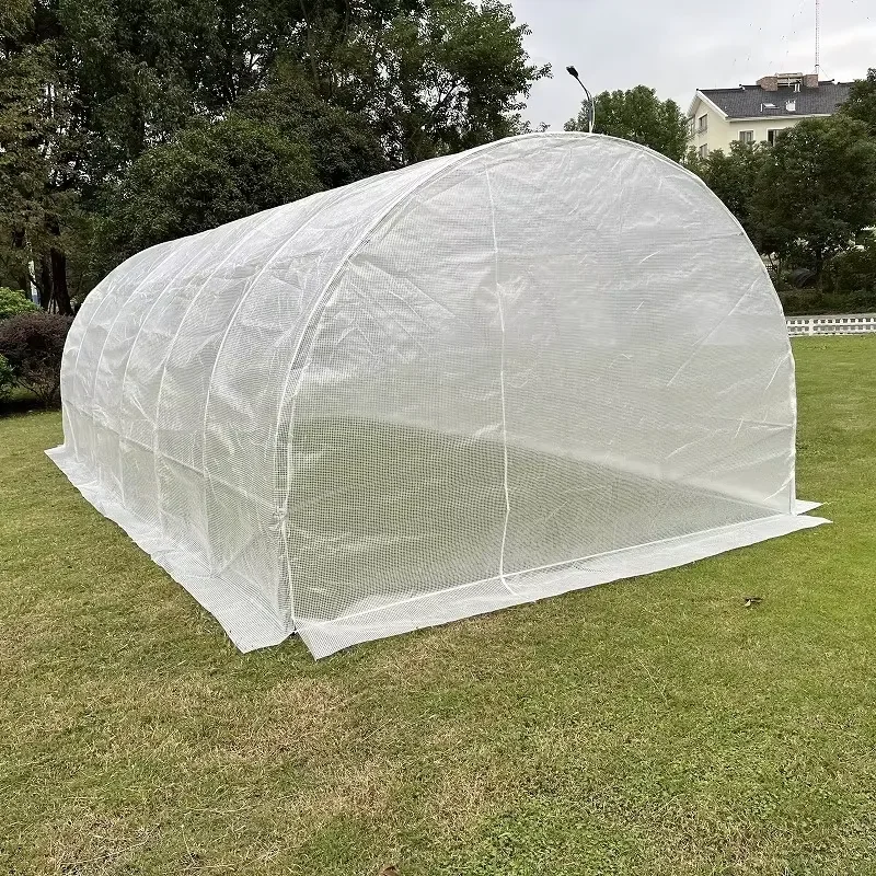 6x3x2m Rainproof Greenhouse Tunnel Garden Greenhouse for Sale