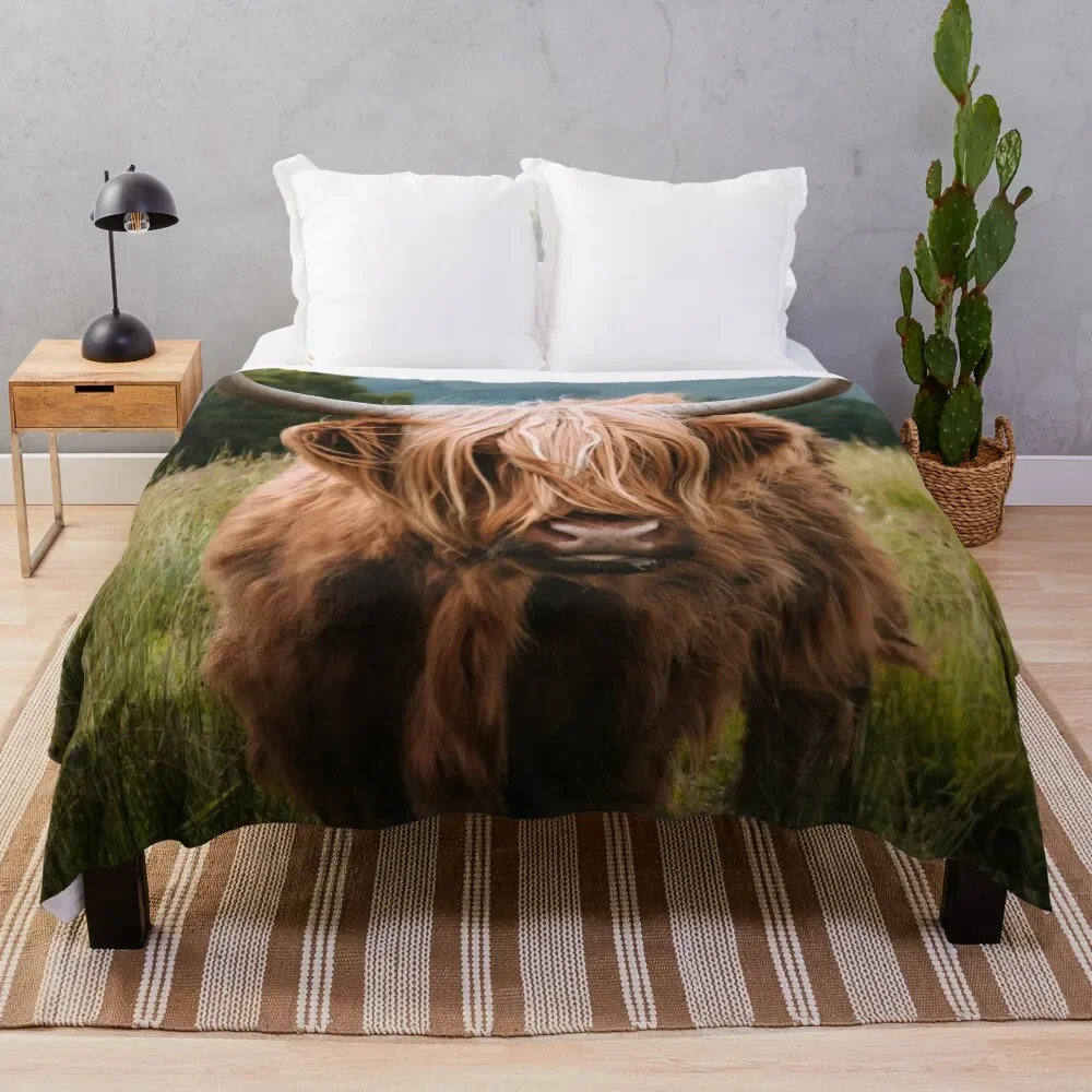 

Wooly Cow a Scottish Highland Cattle in Scotland Throw Blanket Warm Throw Blanket Gift for Anniversary