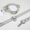 collar and leash 1