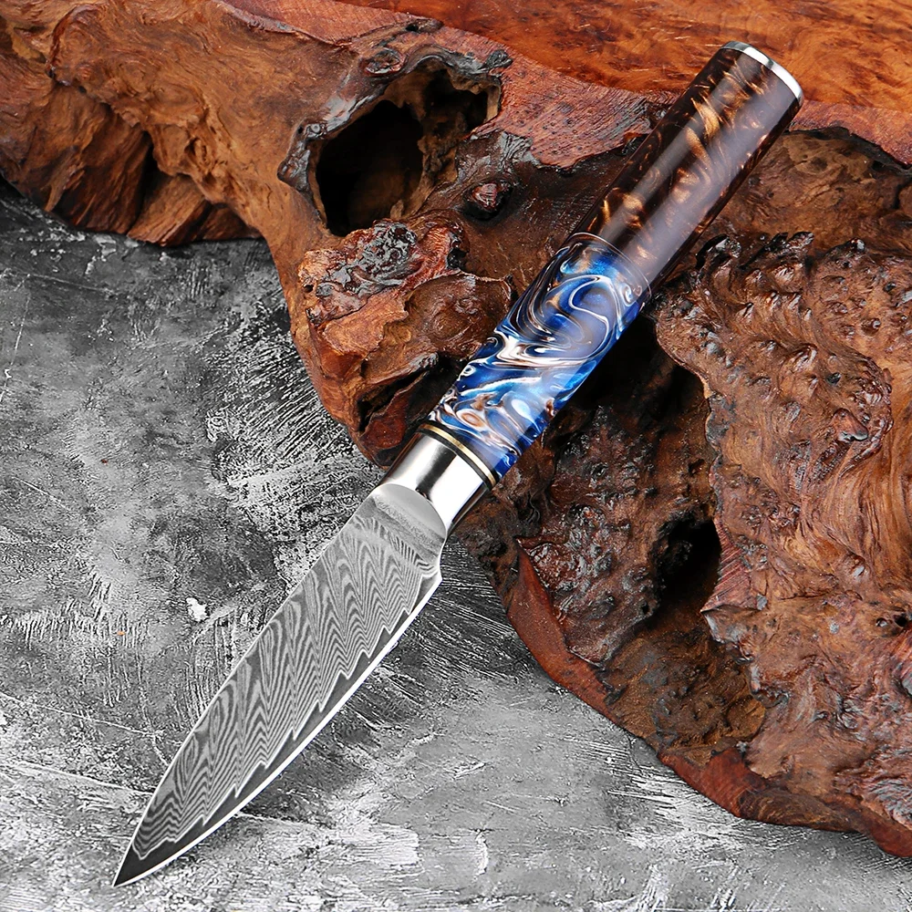 XITUO Japanese Paring Knife 3.5 Inch, Fruit Knife Damascus Steel Sharp Small Kitchen Knife for Peeling Slicing With Resin Handle