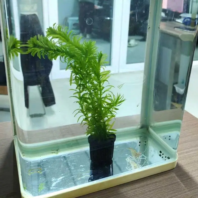 Aquarium Planter Cups for Fish Tank Set of 4 Baskets for Aquatic Plants Secure Stable Decor for Home Office