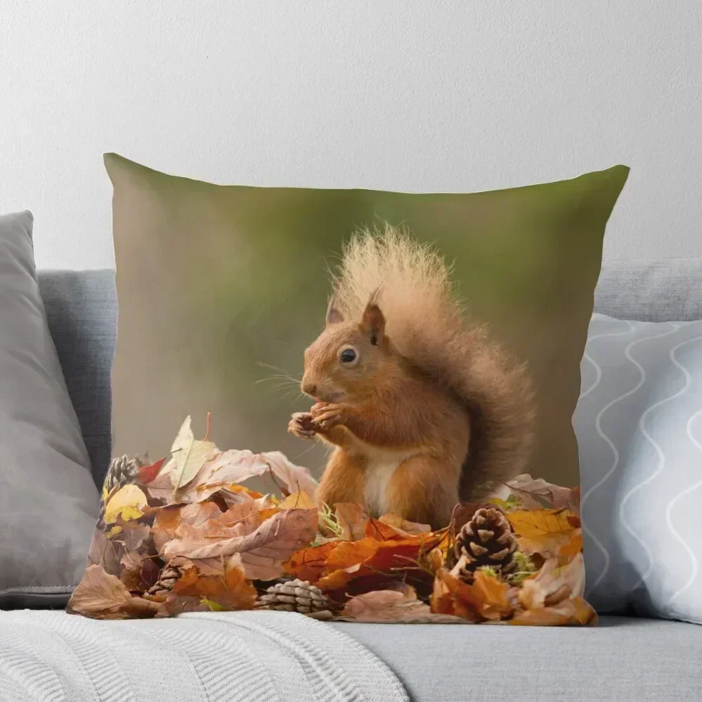 Red squirrel in autumnal leaves Throw Pillow Custom Cushion Photo Couch Cushions Anime pillow