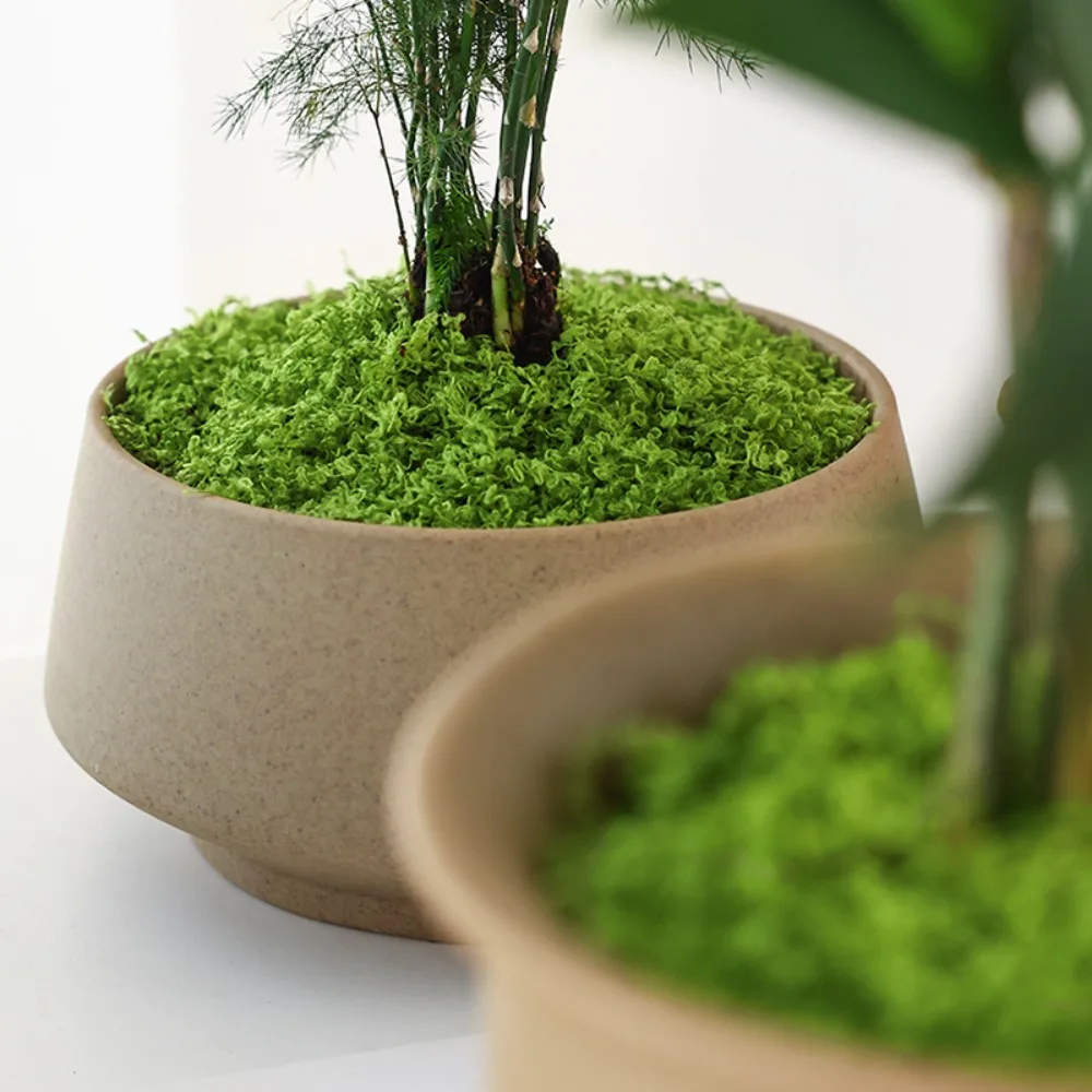 

Garden Craft Durable Artificial Filamentous Moss Environmental Green Fake Moss DIY Polyester Moss Grass Living Room