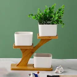 Modern Minimalist White Ceramic Flowerpot Succulent Plant Pot 3 Bonsai Planters with 3-Tier Bamboo Shelf Home Garden Decor