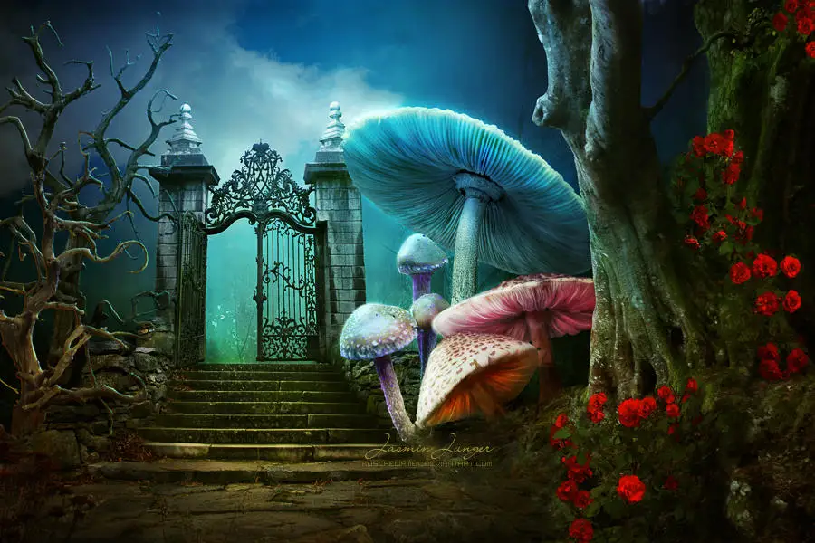 

Alice Magic Mushrooms Wonderland Door Tree Staircase backdrops computer print party supplies Photography Studio Backgrounds