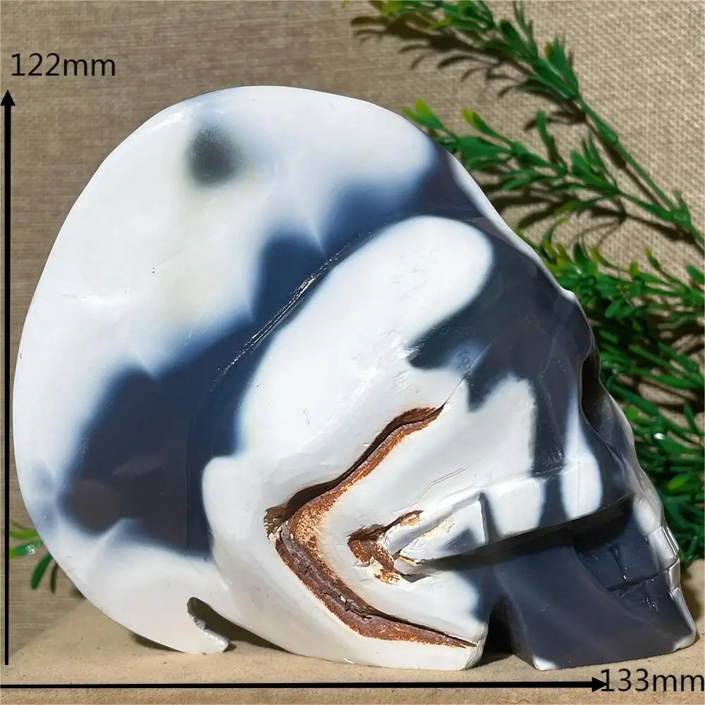 

Natural Crystal Orca Agate Skull Carving Cranium Craft Reiki Stone Gemstones Minerals Healing Home Decoration Quartz