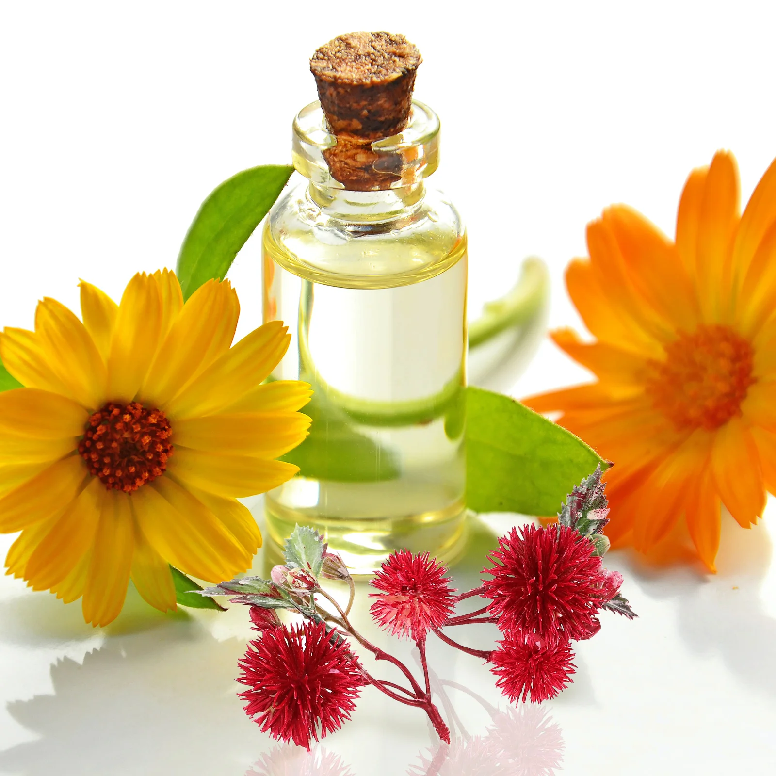 

12Pcs Simulation Plastic Flower Artificial Plant Faux Flowers for Home Wedding DIY Decor Artificial Plant Flower