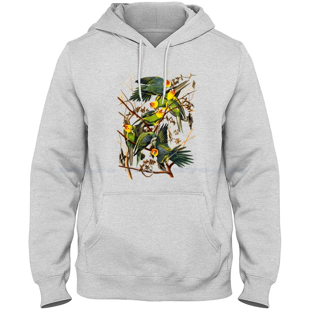 Carolina Parakeet Color Study 100% Cotton Hoodie T Shirt Carolina Parakeet Bird Color Antique