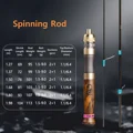 Spinning Rod