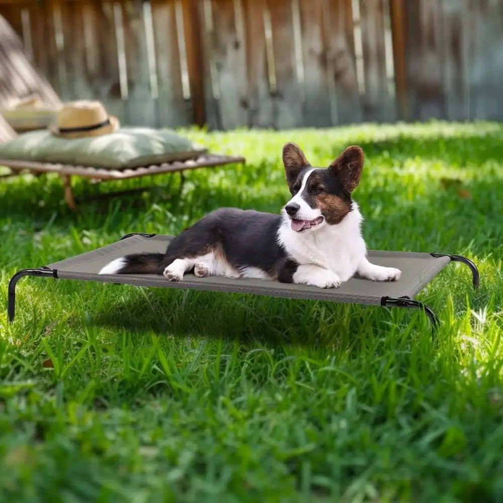 

43" Elevated Dog Bed Pet Cat Raised Sleeping Cot Hammock Indoor&Outdoor