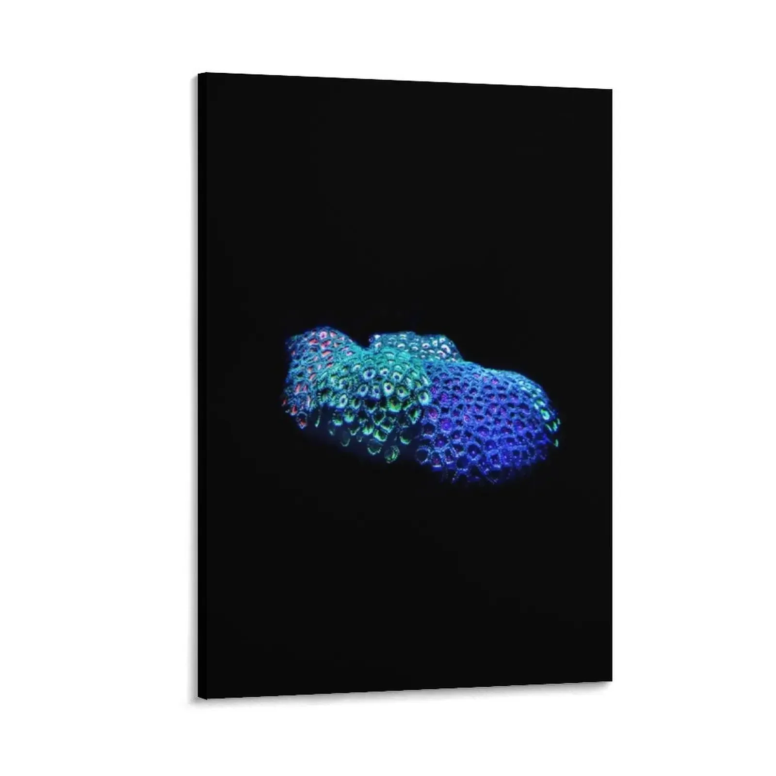 

Zoanthid Coral Canvas Painting room decorations decoration aesthetic aesthetic room decorative wall canvases