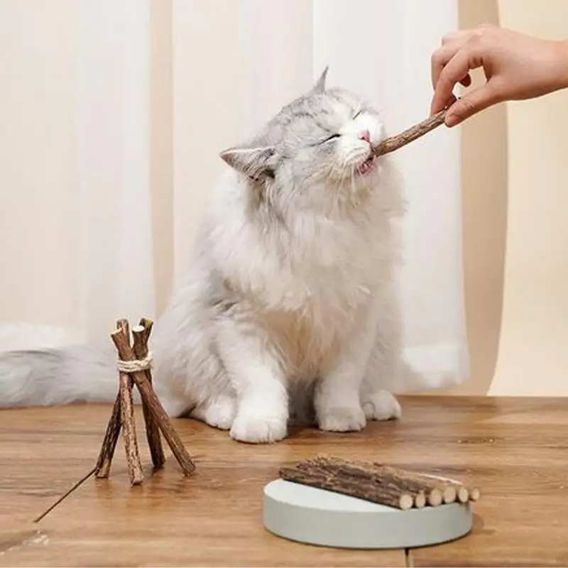 Kitten Chew Sticks Interactive Kitten Toys Catnip Teeth Cleaning Chewy Snacks Cat Teeth Grinding Cleaning Sticks Cat Snacks