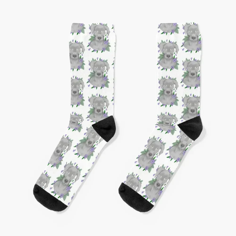 

Silver Lab Socks loose custom colored Socks For Men Women's