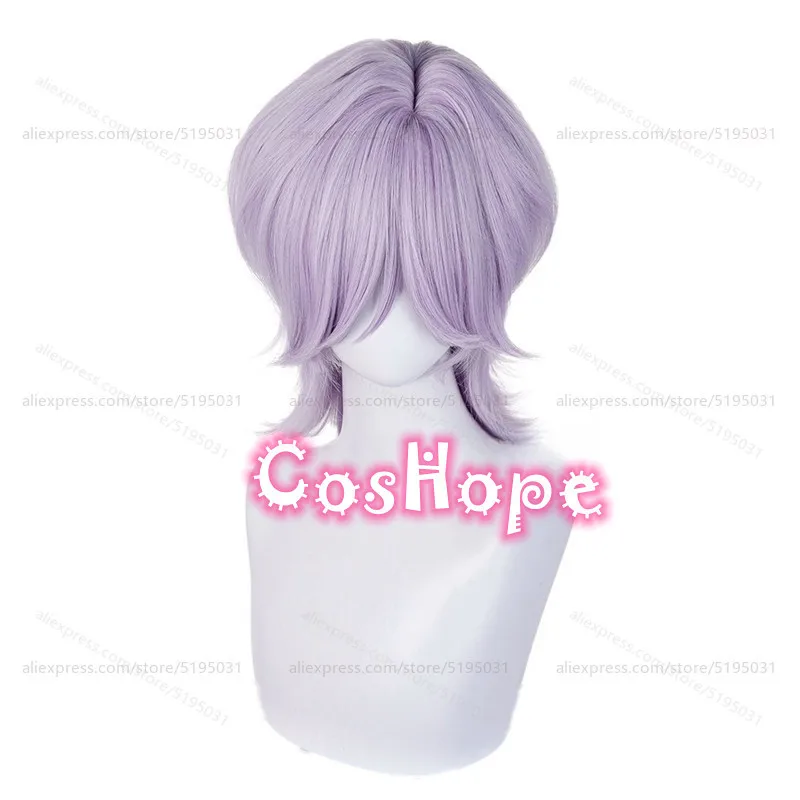 Saja Boys Mystery Cosplay Wig Purple Mixed Wig Heat Resistant Synthetic Wigs for Halloween Carnival Costume