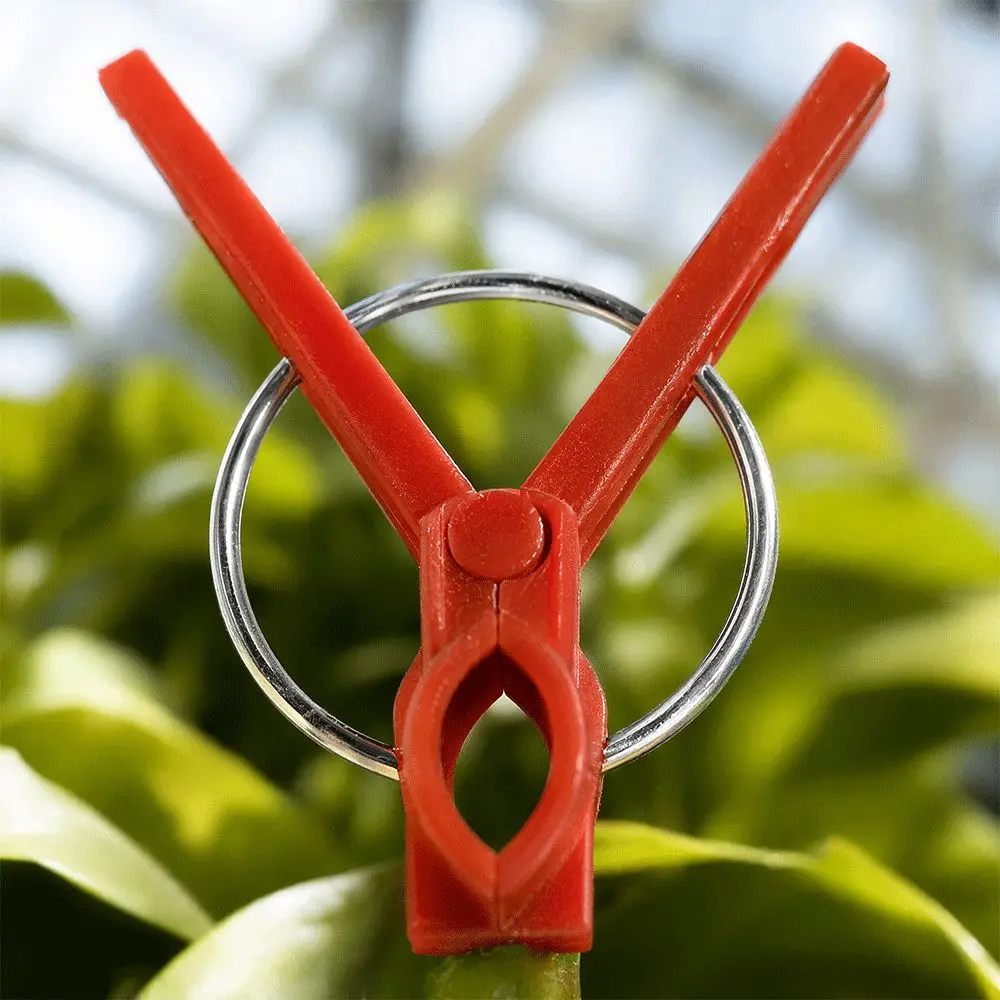 200PCS Practical Universal Plant Grafting Clips Red Plastic Garden Plant Clips Compact Curved Mouth Gardening Tool Clips