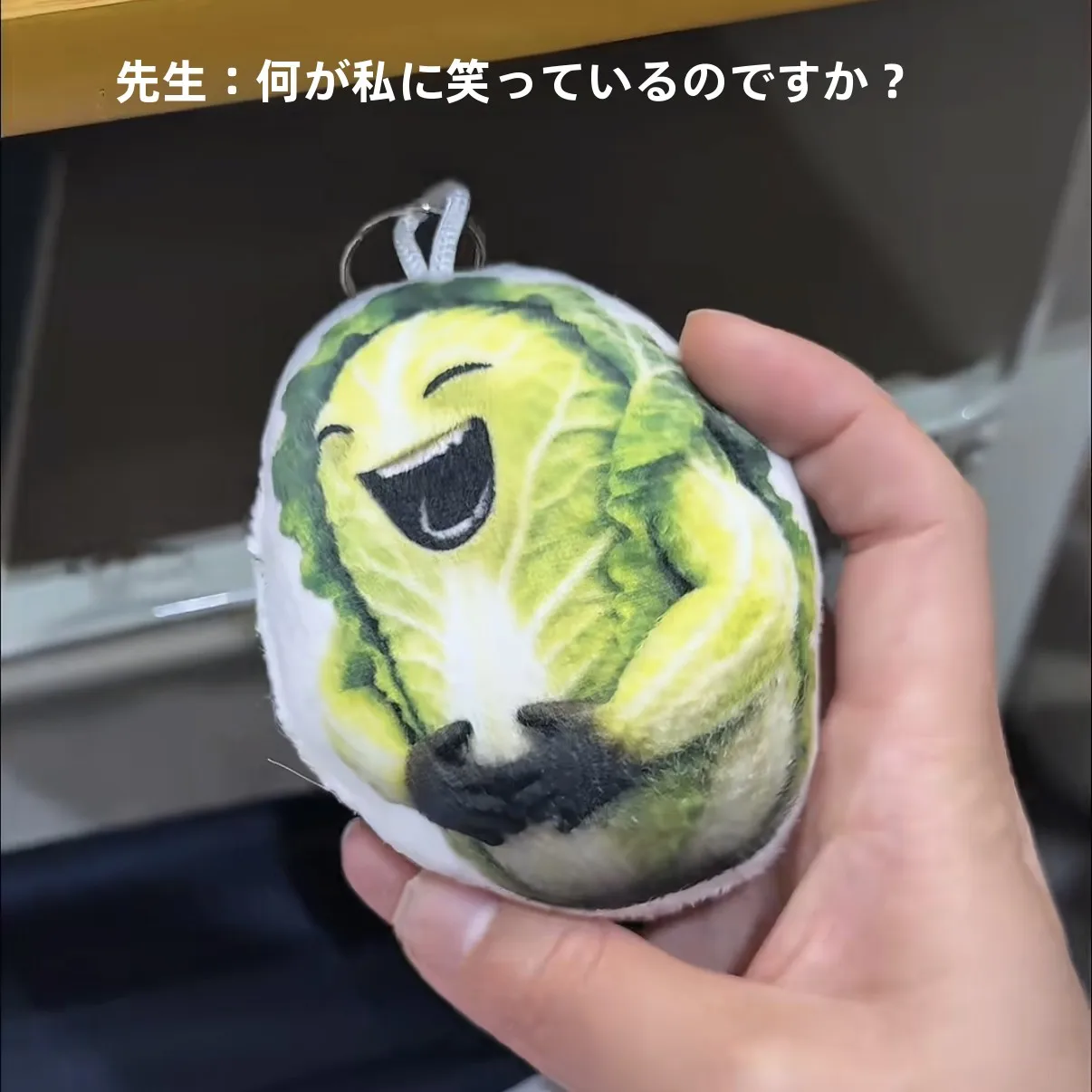 boneco-de-repolho-criativo-com-som-enfeite-penduravel-brinquedo-de-pelucia-com-som-ao-pressionar-chaveiro-para-mochila-de-estudante-presente-para-alivio-do-estresse