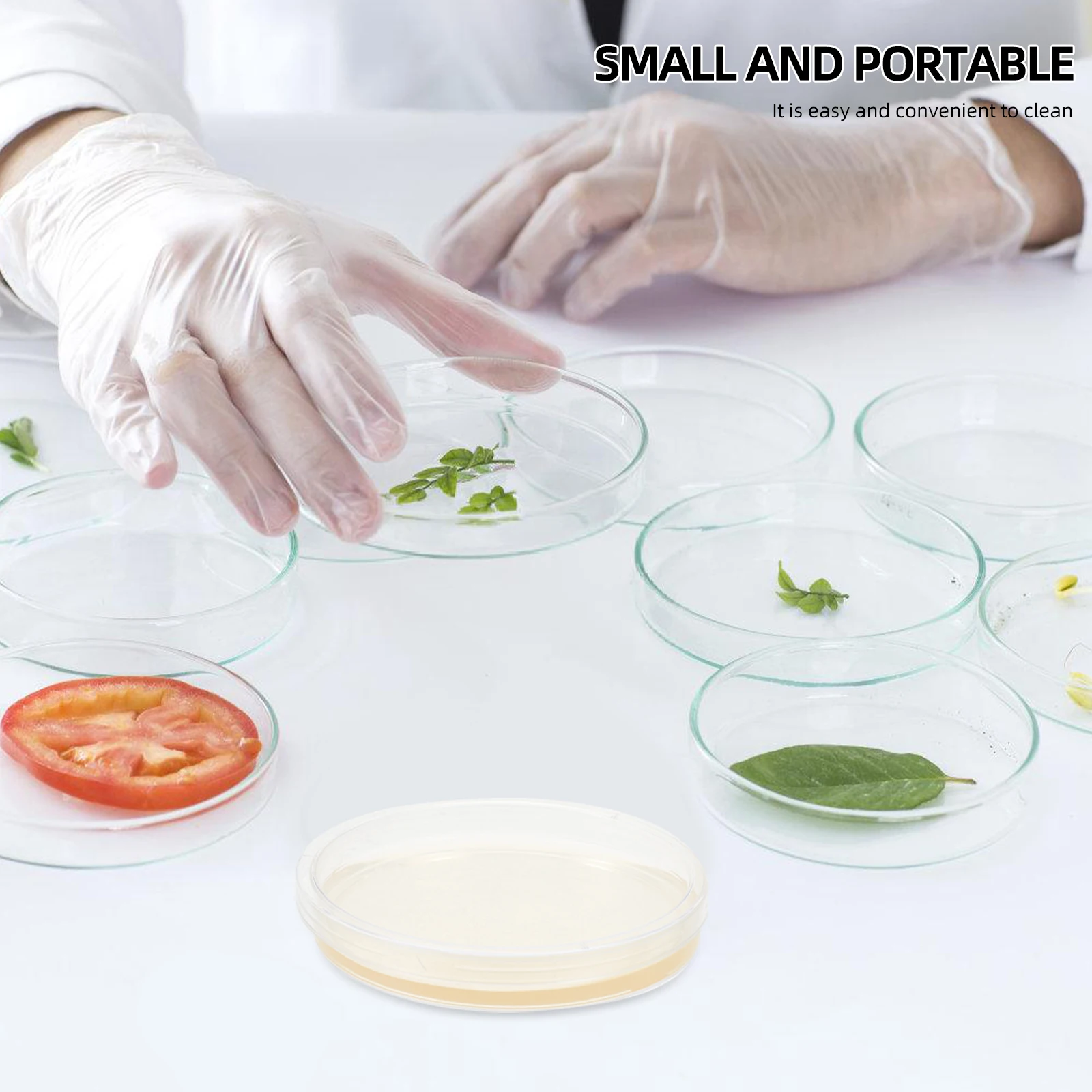 

10 Pcs LB Agar Plate Science Experiment Kit Pocket Plates Laboratory Culture Dish Microbiology Petri Holder Test Child