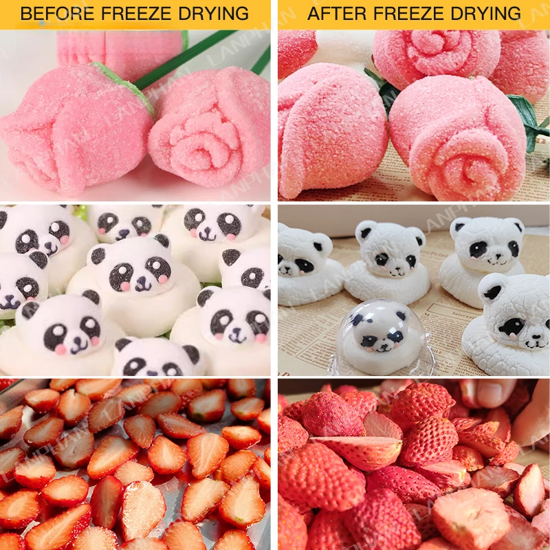 사용하기 쉬운 고효율 건조 소형 가정용 동결건조기 에너지 절약 식품 가공 채소 식품