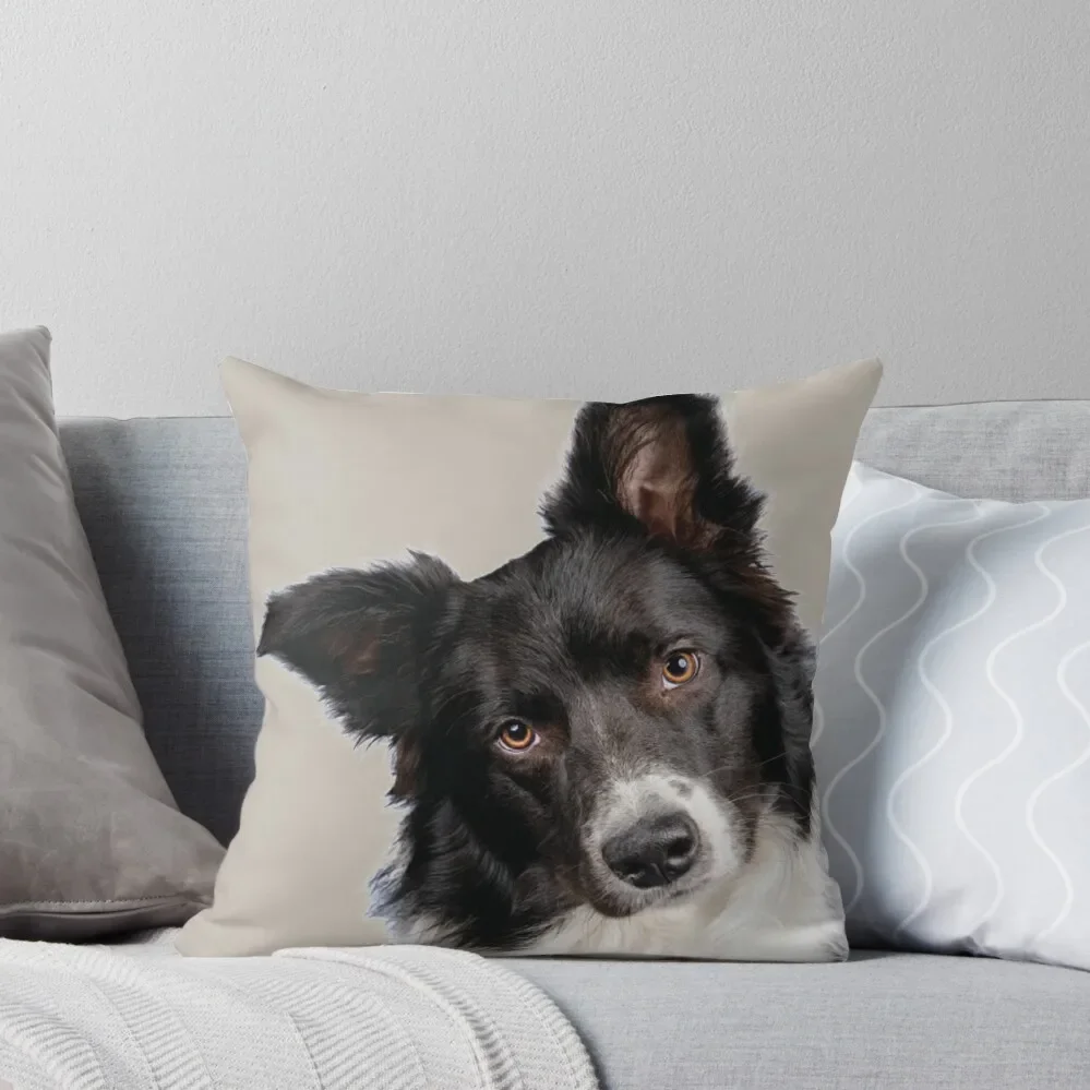 

Border Collie Dog Throw Pillow Sofa Cover Pillowcases For Pillows Cusions Cover pillow cover luxury