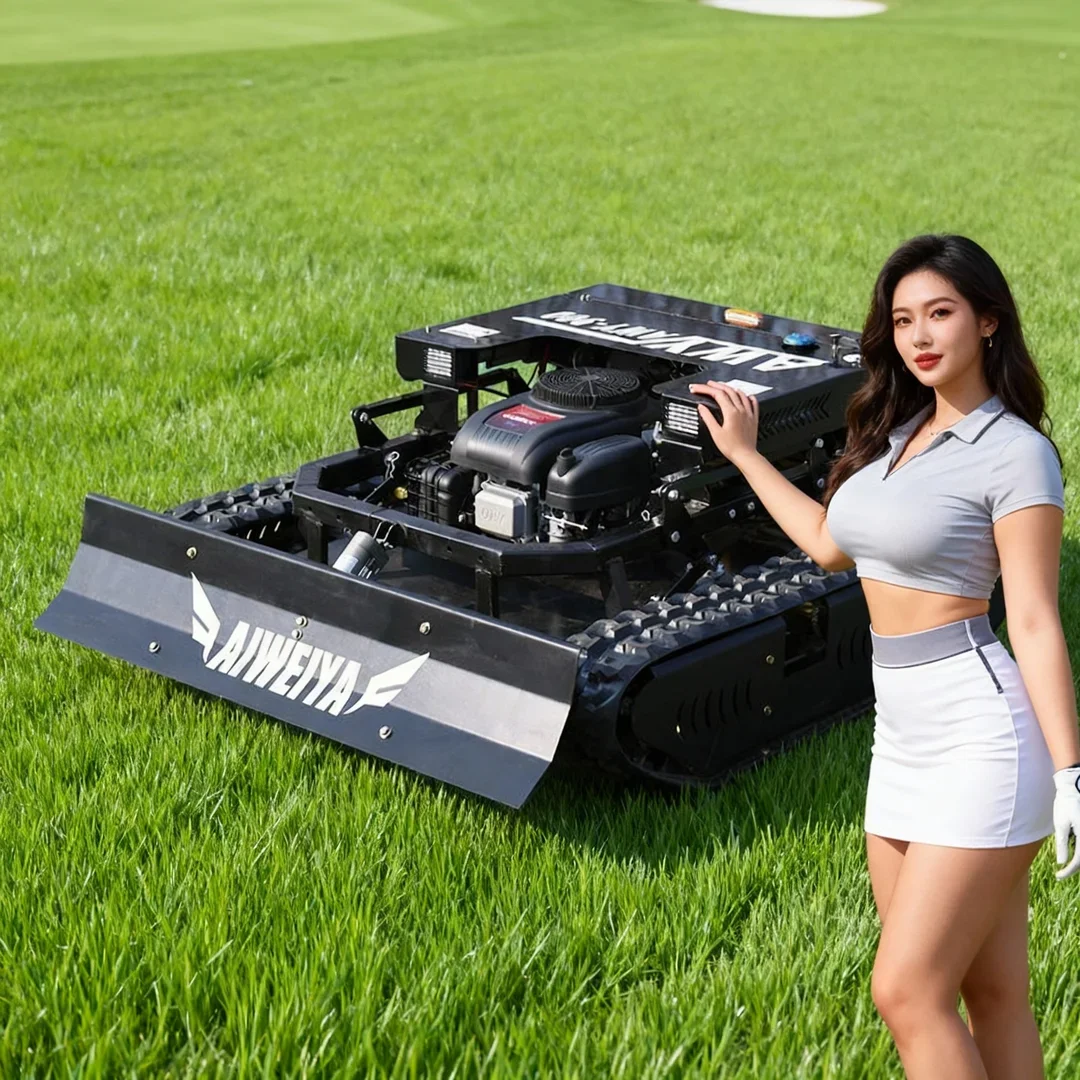 

Customized 2 in 1 Mowing Snow Shoveling Lawn Mower Core Engine Motor Component CE/EPA Certified One-On-One Beauty Sales