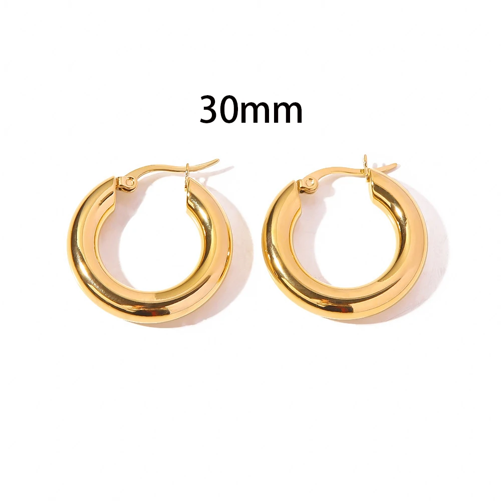 Fashion Gold Color Stainless Steel Big Hoop Earrings Women 20/25/30mm Smooth Round Thick Ear Buckle Punk Earing Piercing Jewelry