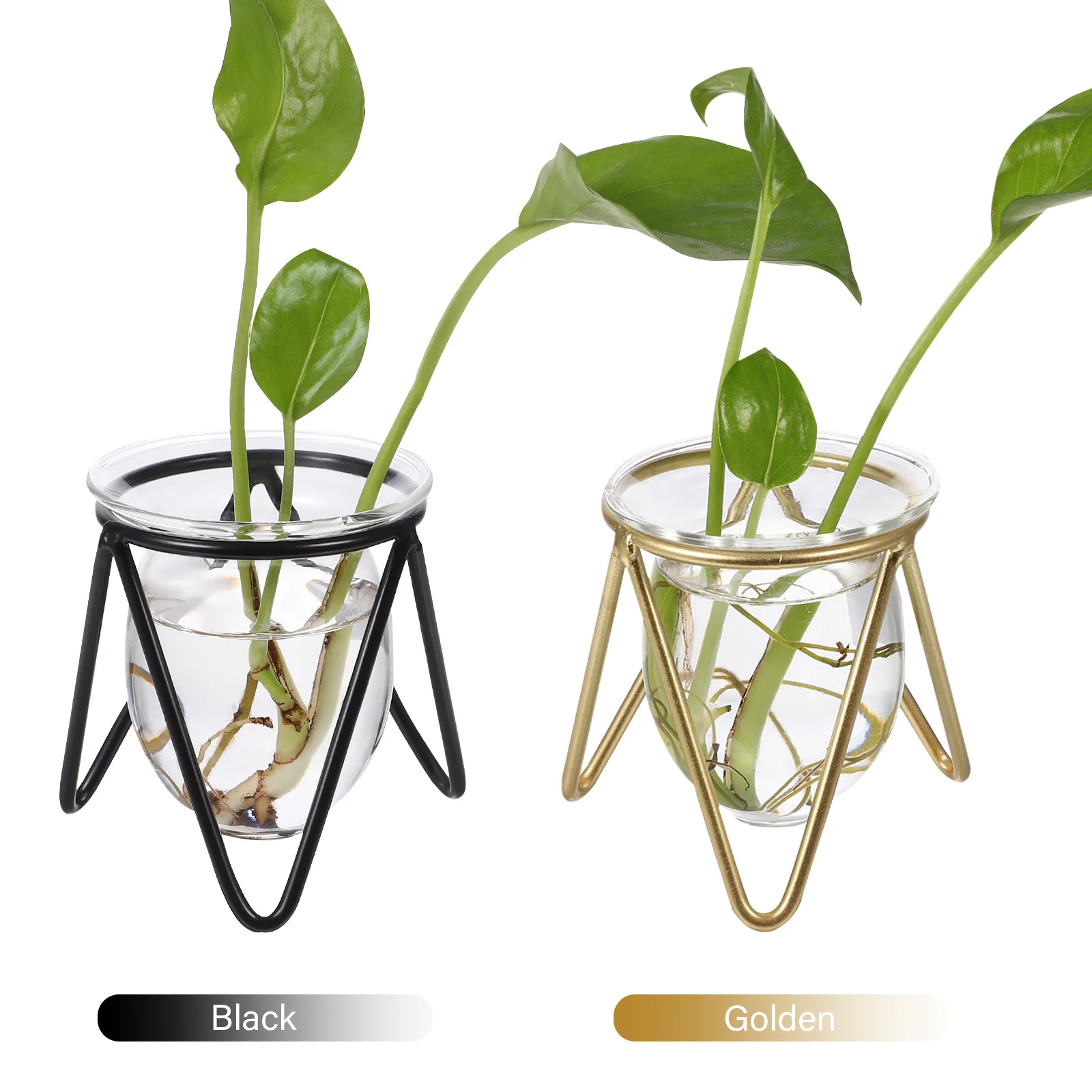 

2Pcs Hydroponic Plant Vase Transparent Glass Green Dill Storage Container Metal Stand Desktop Flower Pot Home Decor