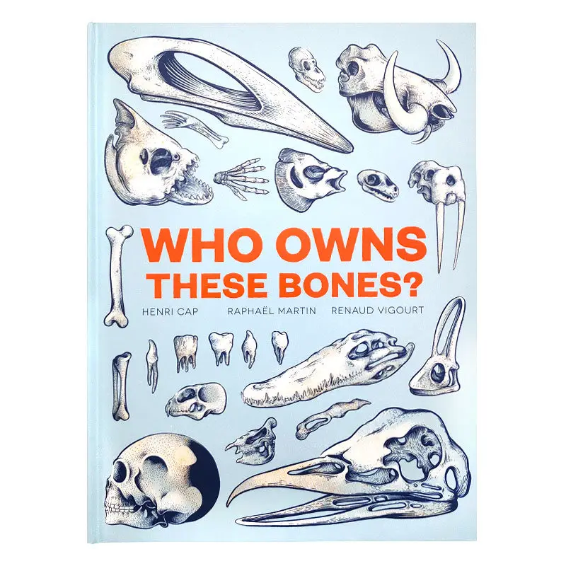 

Interest Skeletal Drawing Tutorial: Who Owns These Bones 40p Bones Illustrated Guide Children's Science Education Book English
