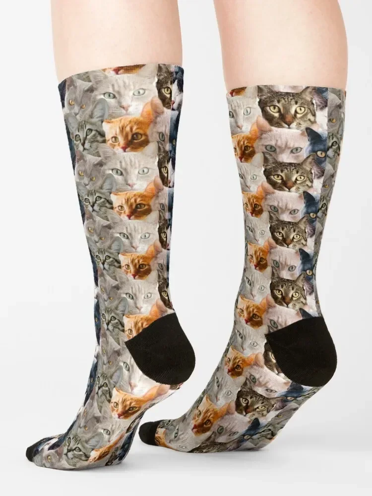 Calcetines con caras de gato para hombre y mujer, medias cálidas, bonitas, de diseñador, para invierno