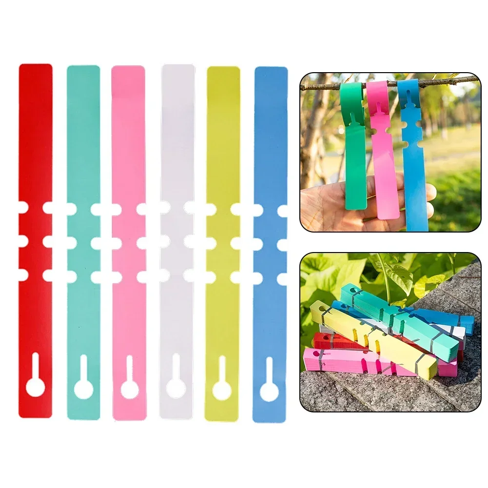 

100pcs PVC Waterproof Plant Markers Hanging Tags Label For Fruit Trees Nursery Stock Flowers Greenhouse Potting Test Gardening