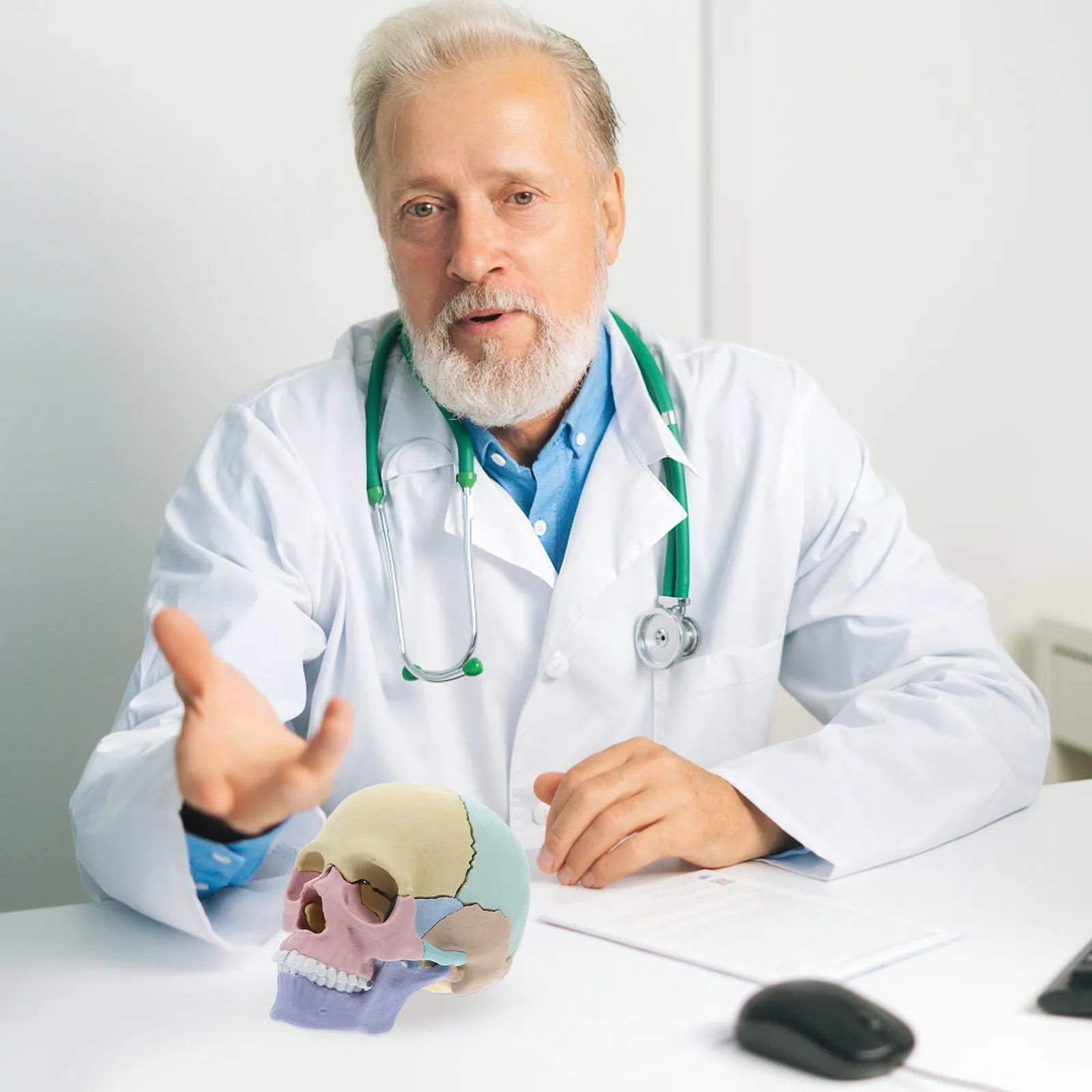 

Разборный цветной анатомический череп человека: учебное пособие для детального изучения анатомии, для образовательных целей