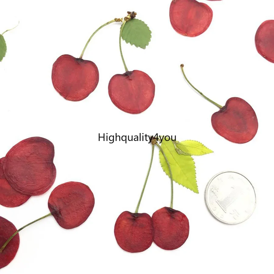 10pcs Dried Pressed 1.5-2cm Fruit Cherry Slices Plant Herbarium For Jewelry Photo Frame Phone Case Bookmark Postcard Making