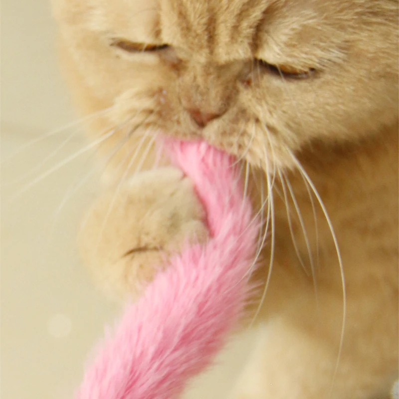 Juguete interactivo con varita para gatos y perros: campana dental - imagen 5