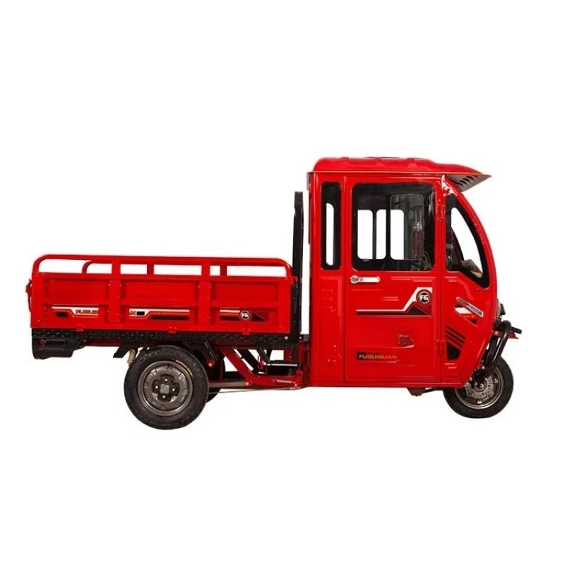 Steel Tire Three Wheel Cargo Electric Tricycle with Closed Cabin