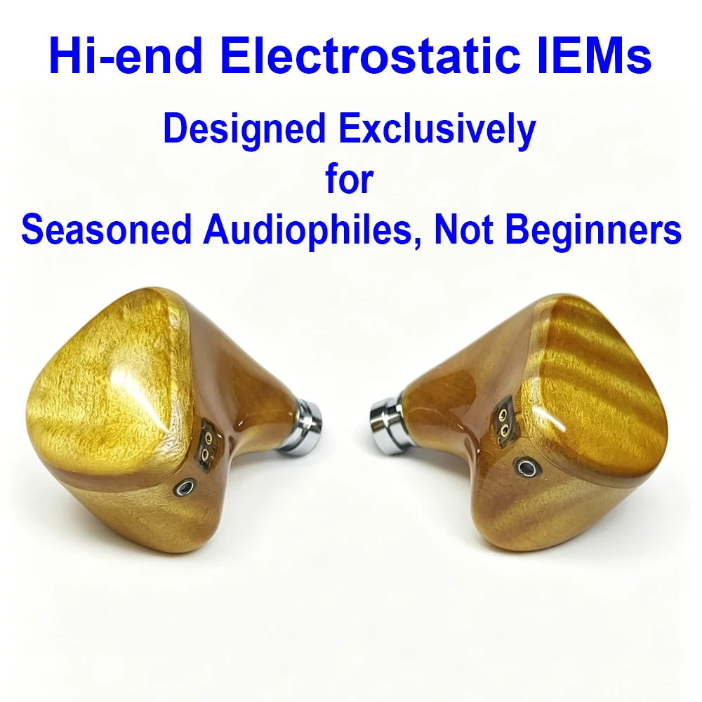 H242 Electrostatic IEM Earphones in Ear Monitor Earbuds Hifi Headphones Wired Hi-end IEMs for Audiophiles Headphone 2pin 0.78mm