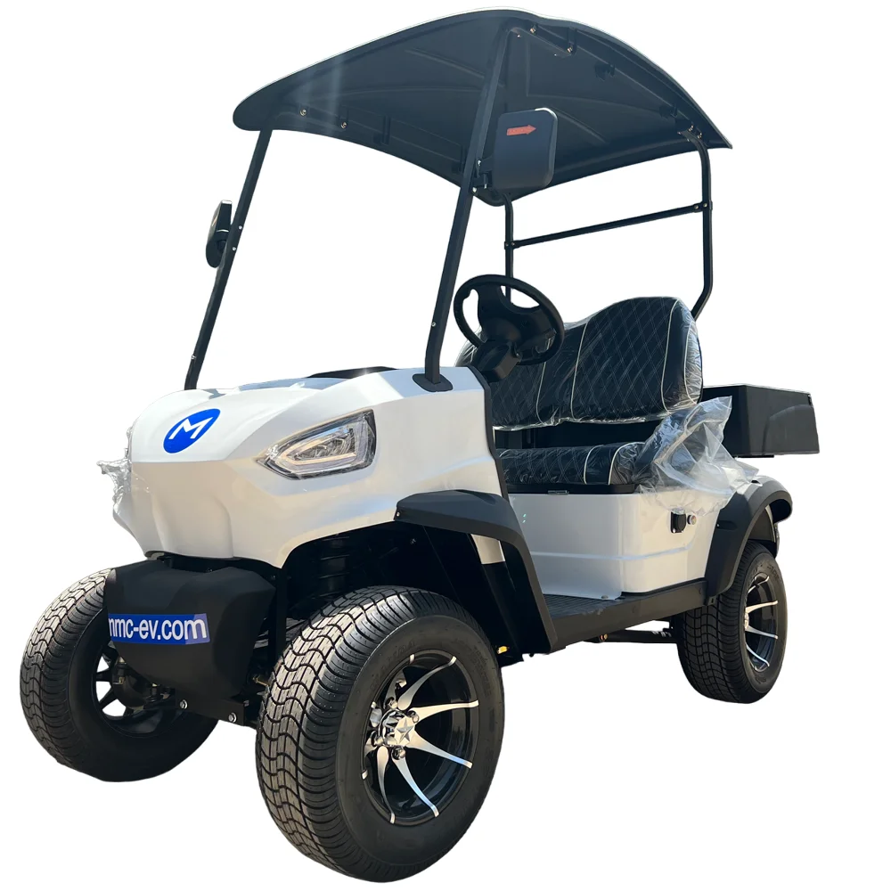 2 Seater Utility Vehicle Electric Golf Cart Factory Direct 2 Seat Electric Hunting Lifted Golf Carts with Cargo Box