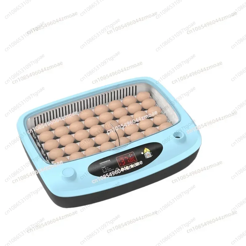 Y A water bed for incubating chicks Rutin Chicken Incubator Small household incubator incubator.
