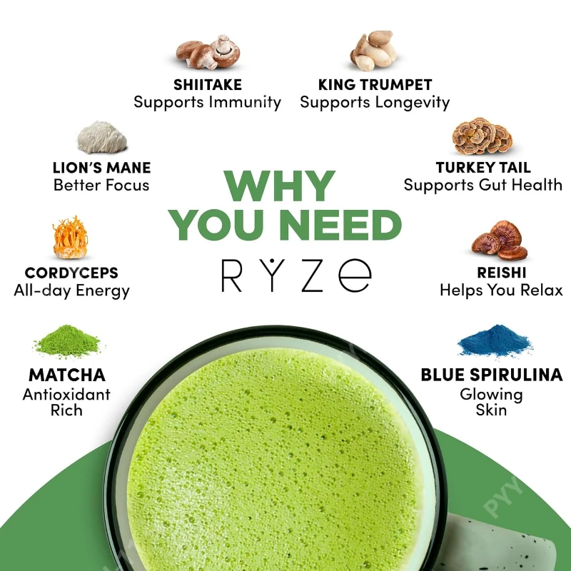 Mushroom Matcha Powder Organic with 6 Adaptogenic Mushroom Blend Matcha and Blue Spirulina Daily Energy and Immune Supplement